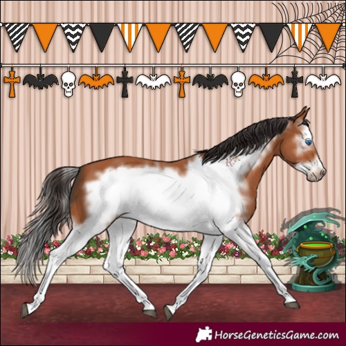Horse Color:Bay Splash Frame 
