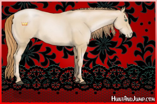 Horse Color:Smoky Black Pearl 