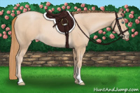 Horse Color:Smoky Black Pearl 