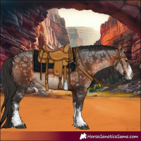 Horse Color:White Spotted Brown Ice 