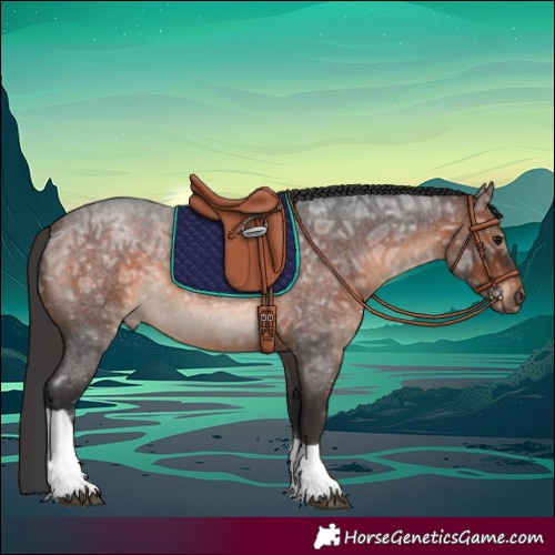 Horse Color:Brown Ice Roan Tobiano 