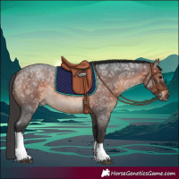 Horse Color:Brown Ice Roan Tobiano