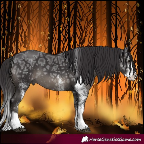 Horse Color:White Spotted Smoky Black Ice Splash 