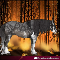 Horse Color:White Spotted Smoky Black Ice Splash 