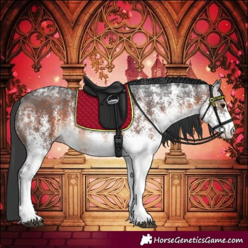 Horse Color:White Spotted Brown Ice Rabicano 