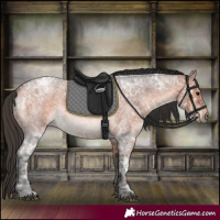 Horse Color:Bay Ice Roan 