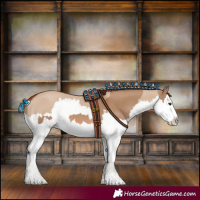 Horse Color:Red Dun Splash and Red Dun Splash