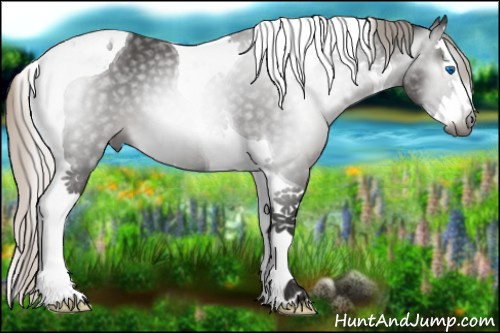 Horse Color:Gray Silver Black Splash Tobiano 