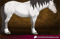 Horse Color:Platinum Sable Champagne Roan Dun Rabicano