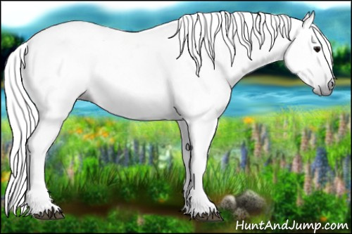 Horse Color:Gray Silver Black Tobiano 