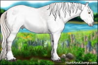 Horse Color:Gray Silver Black Pearl Tobiano