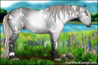 Horse Color:Gray White Spotted Silver Black 