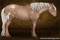Horse Color:White Spotted Chocolate Silver Black Pearl 