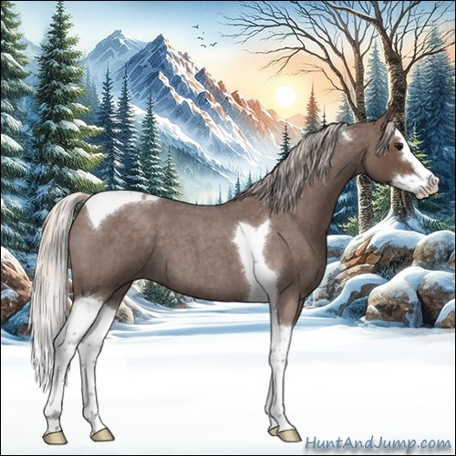Horse Color:Silver Blue Roan Splash Tobiano 