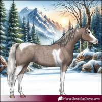 Horse Color:Silver Blue Roan Splash Tobiano 