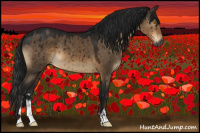 Horse Color:Gray Brown Dun Sabino Brindle