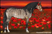 Horse Color:Brown Dun Sabino Brindle
