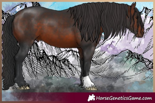 Horse Color:Brown 