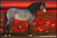 Horse Color:Gray Buckskin Roan Rabicano
