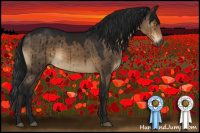 Horse Color:Gray Brown Dun Brindle