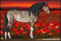 Horse Color:Brown Dun Sabino Tobiano Brindle