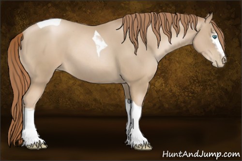 Horse Color:White Spotted Smoky Black Pearl Mushroom Tobiano