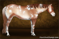 Horse Color:White Spotted Brown Pearl Onyx