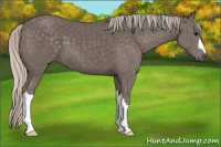 Horse Color:Silver Black 