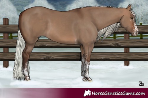 Horse Color:White Spotted Silver Brown Dun Tobiano 