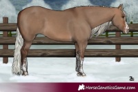 Horse Color:White Spotted Silver Brown Dun Tobiano 