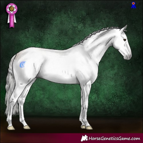 Horse Color:Gray White Spotted Bay Dun Sabino Splash Rabicano