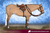 Horse Color:Silver Bay Dun Tobiano Rabicano