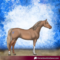 Horse Color:Red Dun Tobiano Rabicano