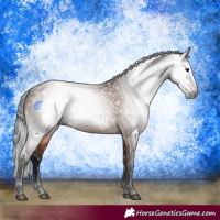 Horse Color:Gray Bay Rabicano 