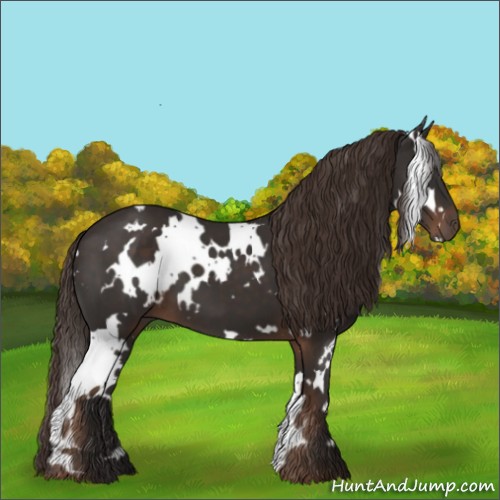 Horse Color:White Spotted Liver Chestnut 
