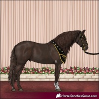 Horse Color:Liver Chestnut  and Liver Chestnut 