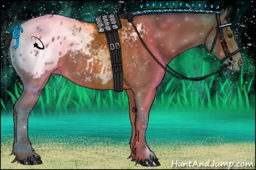 Horse Color:Brown Blanket