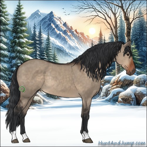 Horse Color:Brown Dun Rabicano 