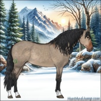 Horse Color:Brown Dun Rabicano 