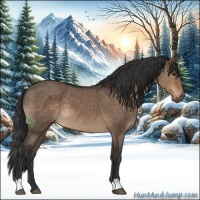 Horse Color:Brown Dun 