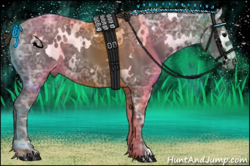 Horse Color:White Spotted Smoky Black Ice Varnish