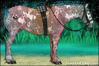 Horse Color:White Spotted Smoky Black Ice Varnish 