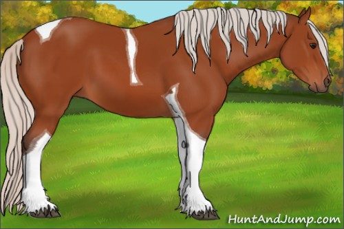 Horse Color:Silver Bay Tobiano 