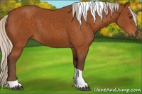 Horse Color:Silver Buckskin Tobiano