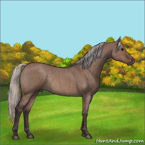 Horse Color:Silver Brown Roan Dun Rabicano 