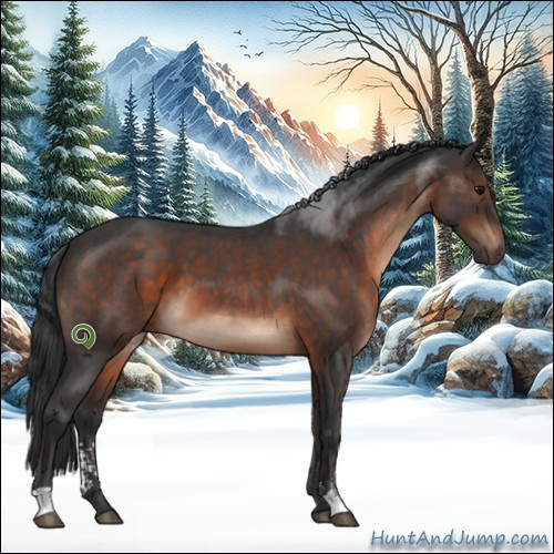 Horse Color:Brown Roan Sabino 