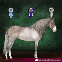 Horse Color:Silver Brown Roan Dun Sabino 