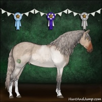 Horse Color:Silver Brown Roan Dun Sabino 