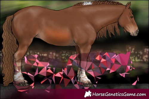 Horse Color:Chestnut Tobiano 