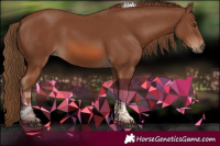 Horse Color:Chestnut Tobiano